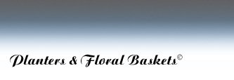Bowls & Packaging Baskets