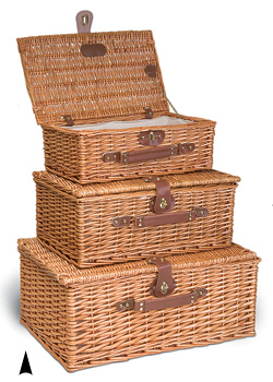 Willow Suitcase #5/A245/13